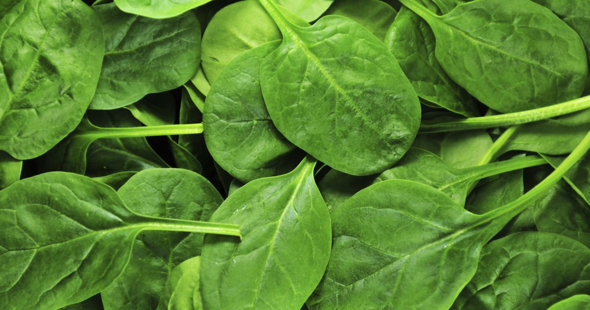10 Secret Health Benefits of Spinach for Skin and Hair Health